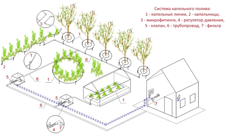 Сделать автополив для теплиц можно самостоятельно