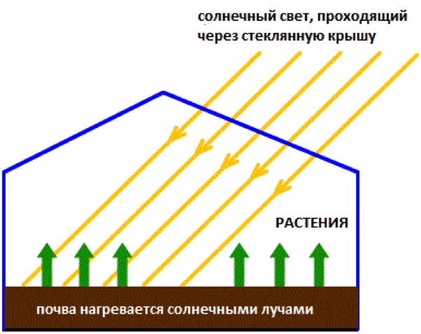 Обогрев с помощью солнечных лучей. Этот способ используется очень многими